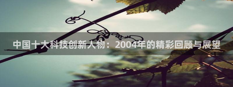 中国十大科技创新人物：2004年的精彩回顾与展望