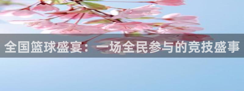 全国篮球盛宴：一场全民参与的竞技盛事